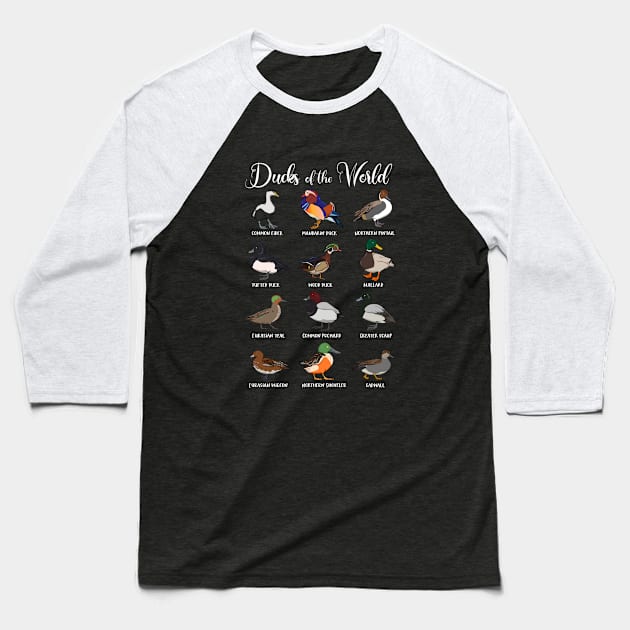 Different types of ducks - Ducks of the world Baseball T-Shirt by Modern Medieval Design